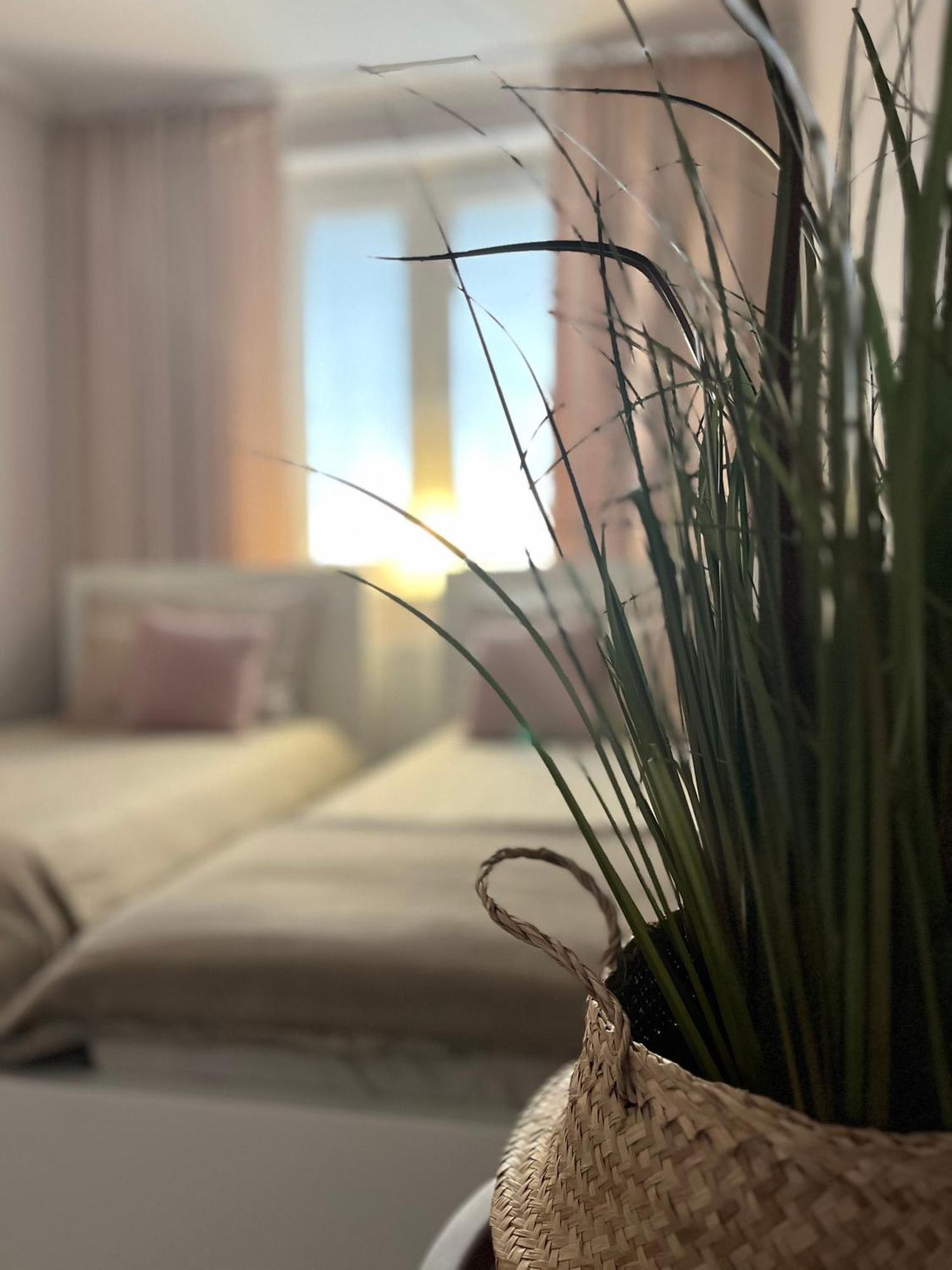 Apartament Przy Obserwatorium&Singielnia Olsztyn  Zewnętrze zdjęcie
